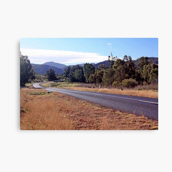 Item preview, Vics Road designed and sold by Tainia Finlay.