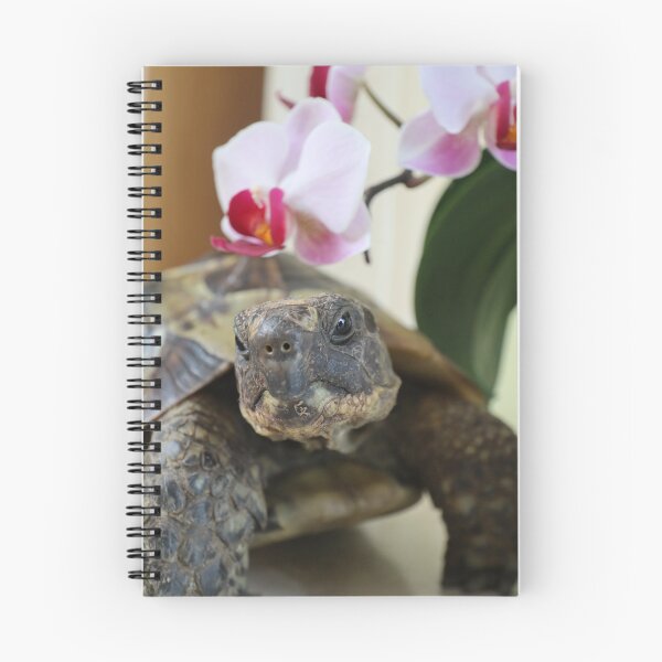 Item preview, Pie Pequeño la Tortuga designed and sold by Talia Jones.