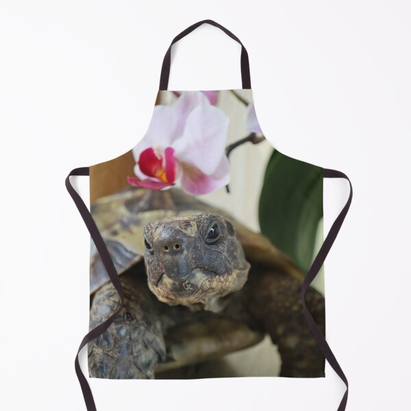 Item preview, Little Foot the Tortoise  designed and sold by Talia  Jones.
