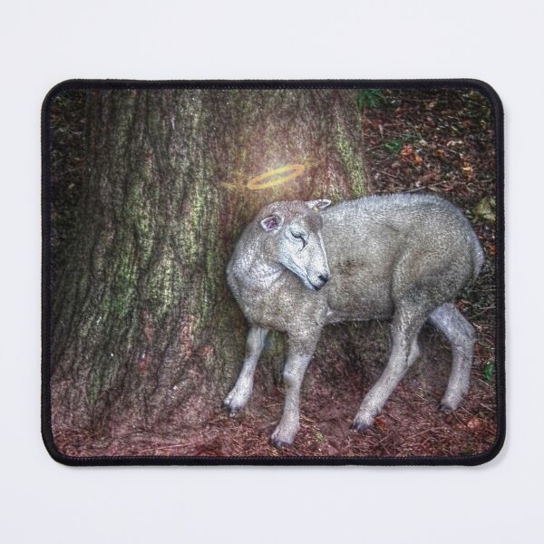 Item preview, Lost Sheep in a forest with halo artpiece. Original Painting designed and sold by KALEIDOSCOPE UK.