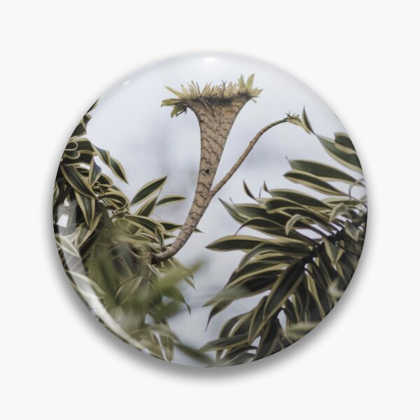 Item preview, Dracaena designed and sold by MaxCardoso.