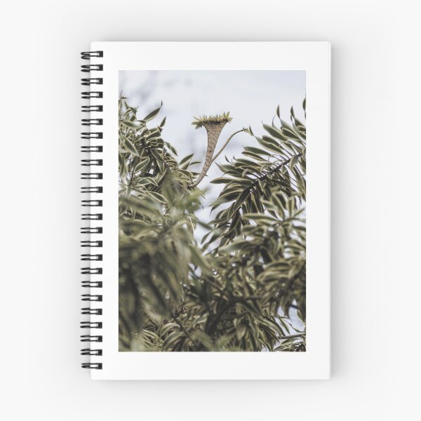 Item preview, Dracaena designed and sold by MaxCardoso.