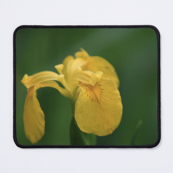 Item preview, Wild Yellow Iris designed and sold by ParisPoet.