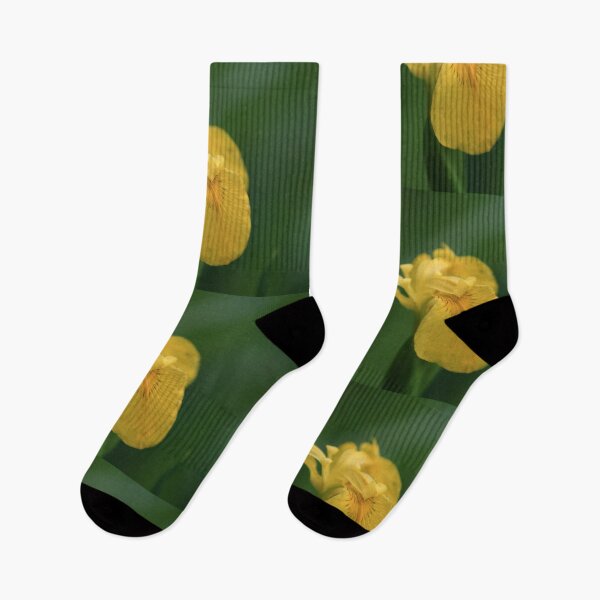 Item preview, Wild Yellow Iris designed and sold by ParisPoet.