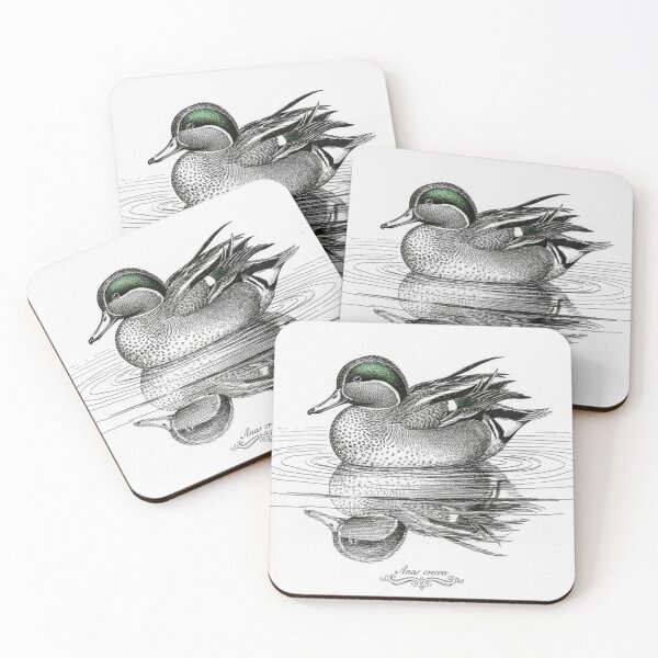 Item preview, Common Teal Duck: Anas crecca - Vintage Scientific Study  designed and sold by VistaPainterArt.