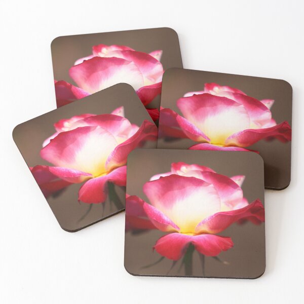 Item preview, Red Rose  designed and sold by ParisPoet.