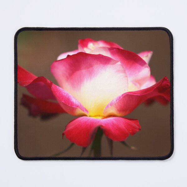 Item preview, Red Rose designed and sold by ParisPoet.