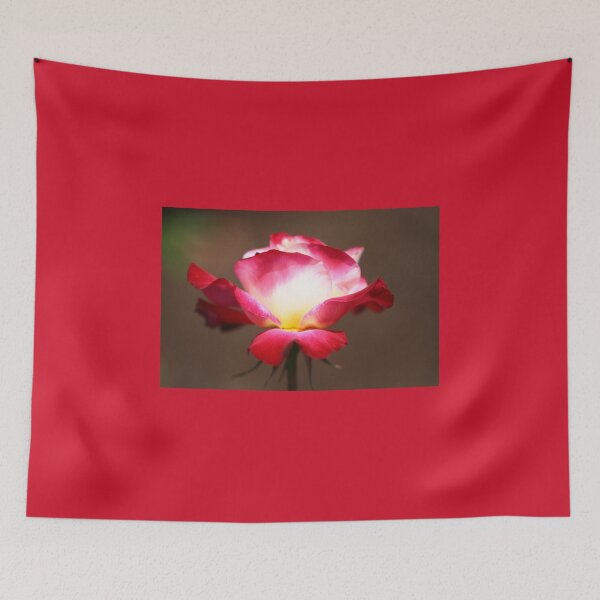 Item preview, Red Rose  designed and sold by ParisPoet.