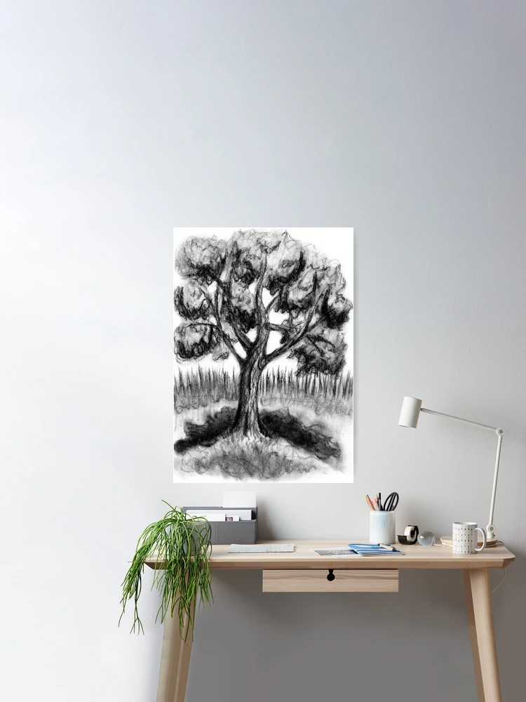 Old Maple Tree Charcoal Drawing