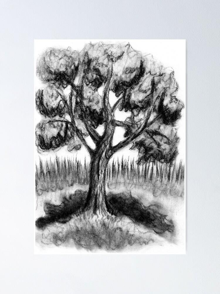 Charcoal drawing of gnarled pine tree roots in swampy area Wood Print by  Adam Long - Fine Art America
