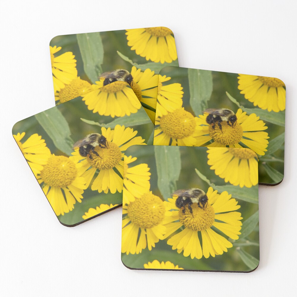 Item preview, Coasters (Set of 4) designed and sold by duserphotos.