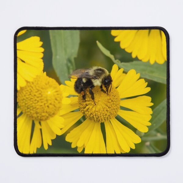 Item preview, Tapping In designed and sold by Tim Dusenberry.