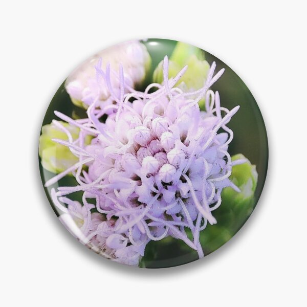 Item preview, Ageratum conyzoides designed and sold by MaxCardoso.
