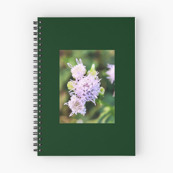 Item preview, Ageratum conyzoides designed and sold by MaxCardoso.