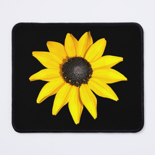 Item preview, Golden Radiance: Black-Eyed Susan in Full Bloom designed and sold by Susarellis.