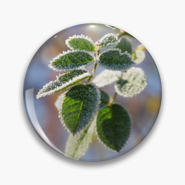 Item preview, Frost at the first rays of sunshine designed and sold by TW-Fotos.