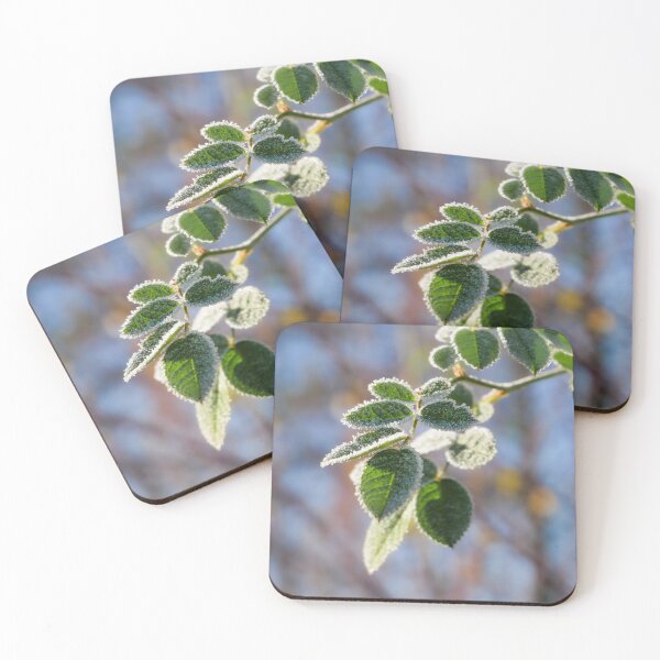 Item preview, Frost at the first rays of sunshine designed and sold by TW-Fotos.