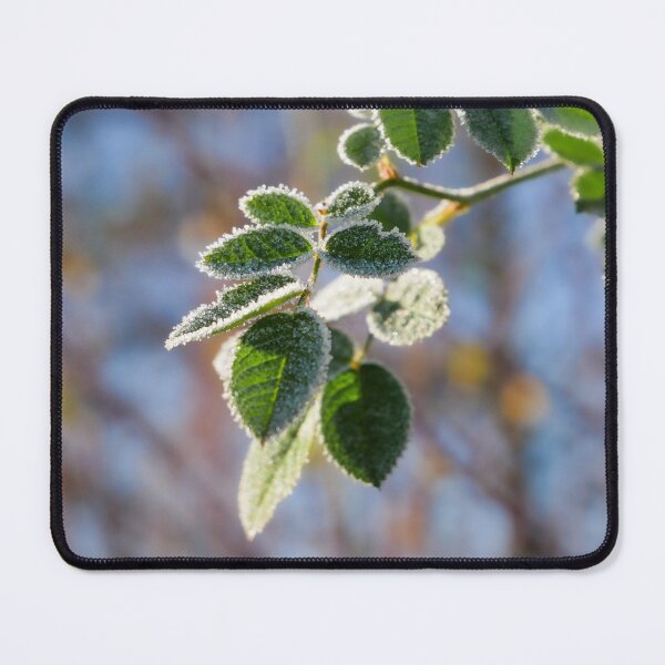 Item preview, Frost at the first rays of sunshine designed and sold by TW-Fotos.