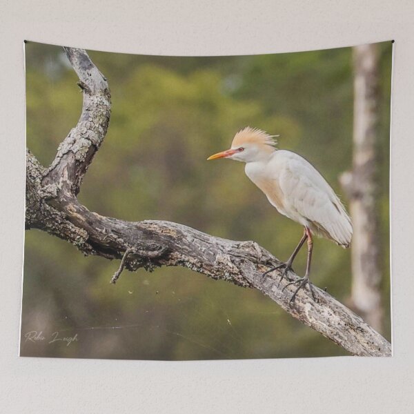 Item preview, South Carolina Cattle Egret  designed and sold by MBGSL DESIGNS .