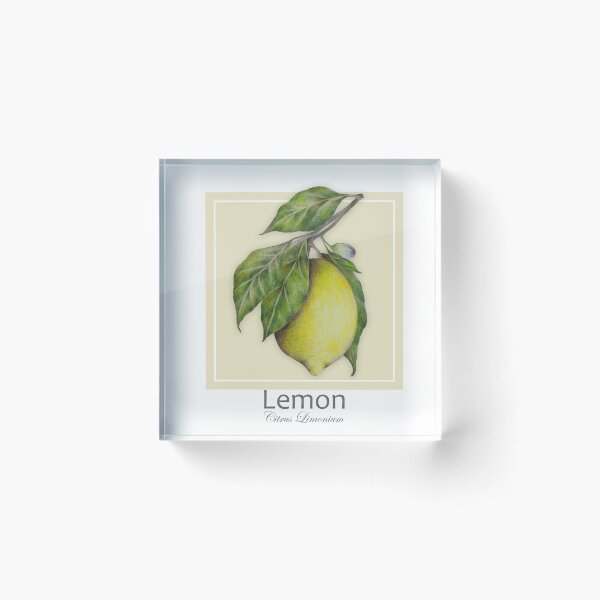 Item preview, Lemon (Citrus Limonium) designed and sold by Art_By_Wing.