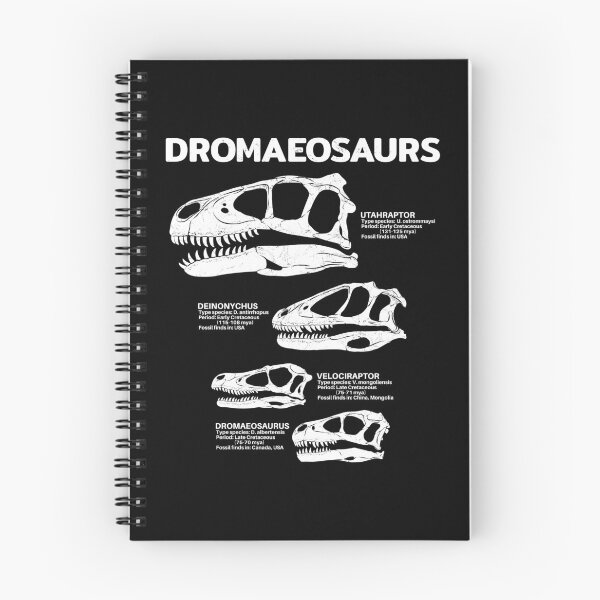 Item preview, Dromaeosaurus Fact Sheet designed and sold by NicGrayGraphic.