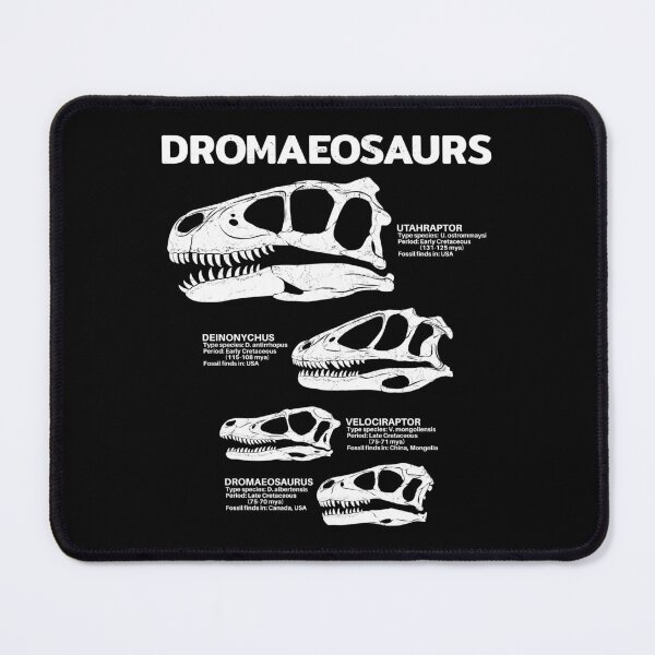 Item preview, Dromaeosaurus Fact Sheet designed and sold by NicGrayGraphic.