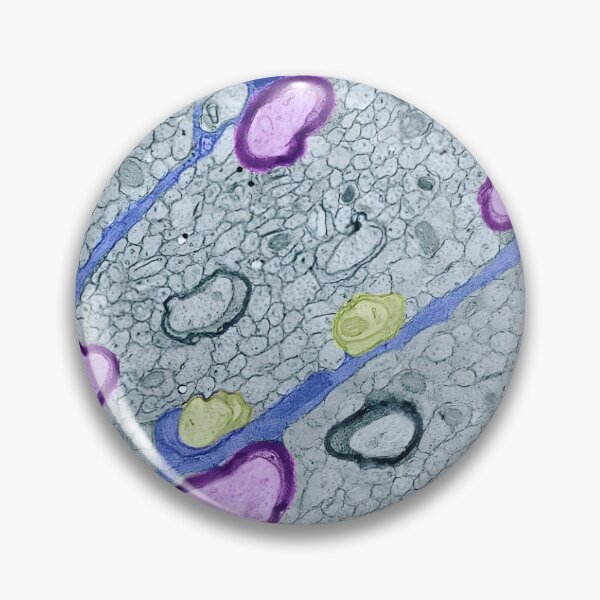 Item preview, Development designed and sold by MicroLife-DSG.