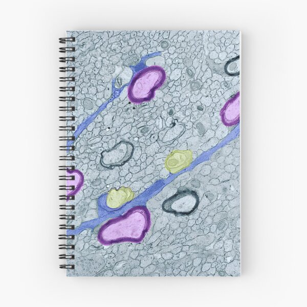 Item preview, Development designed and sold by MicroLife-DSG.