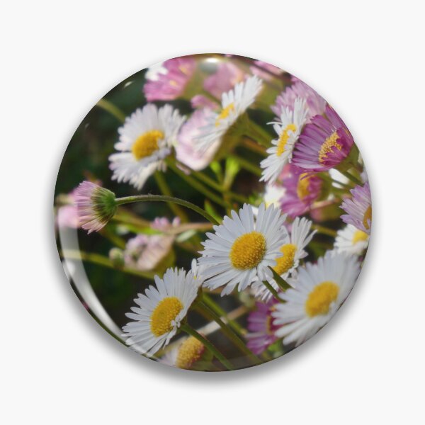 Item preview, Dainty St Peter Port daisies designed and sold by AgnesPerry2020.