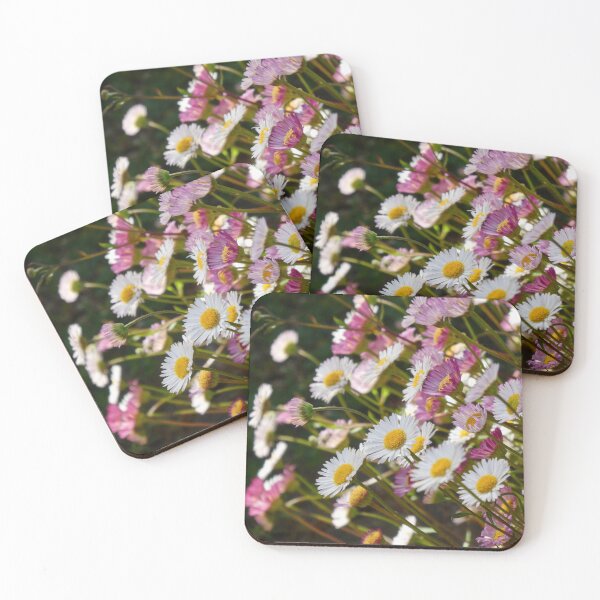 Item preview, Dainty St Peter Port daisies designed and sold by AgnesPerry2020.