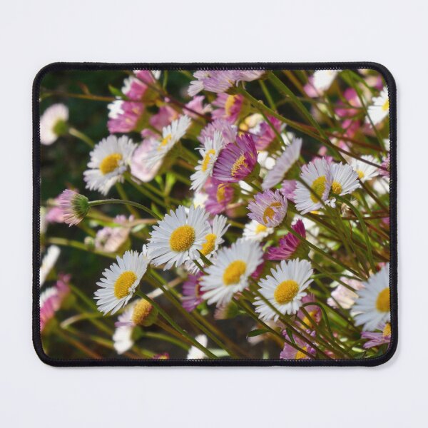 Item preview, Dainty St Peter Port daisies designed and sold by AgnesPerry2020.