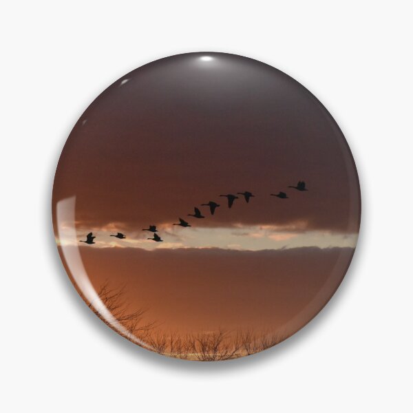 Item preview, Flock of Geese in Sunset Sky designed and sold by SEEphotos7171.