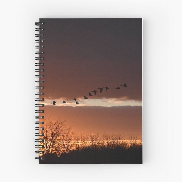 Item preview, Flock of Geese in Sunset Sky designed and sold by SEEphotos7171.