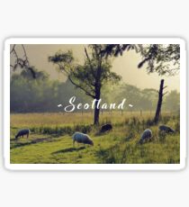 Summertime Scottish Scenery Sticker