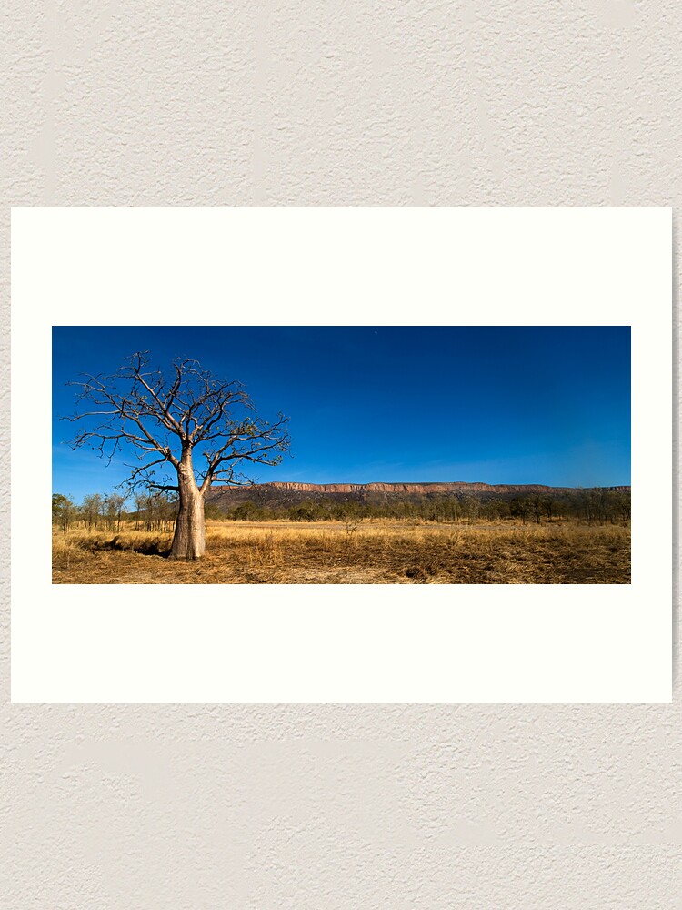Alternate view of The Baobab Art Print