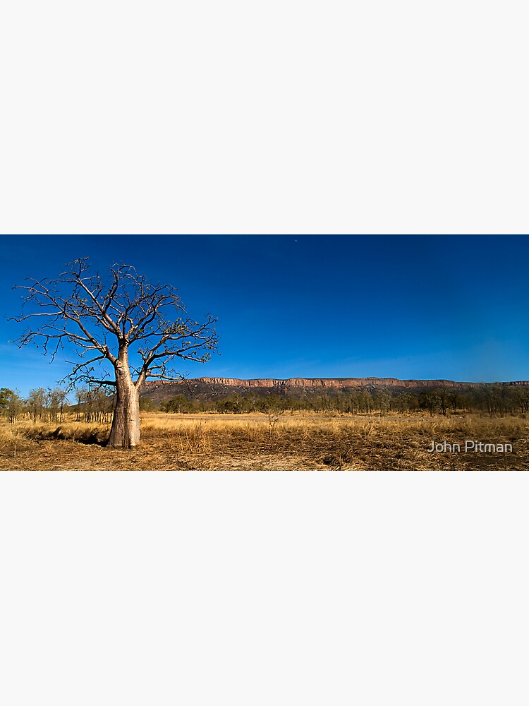 The Baobab by johnjrp