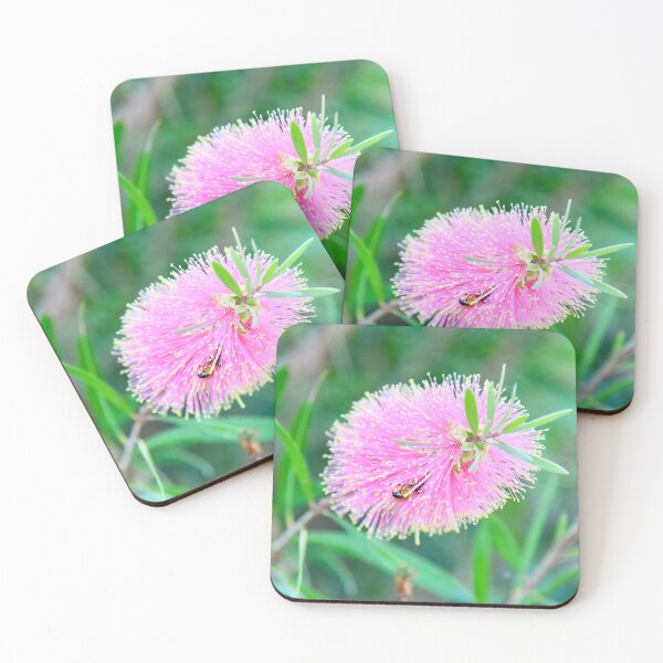 Item preview, Pink Callistemon with Bee designed and sold by cbrpix.