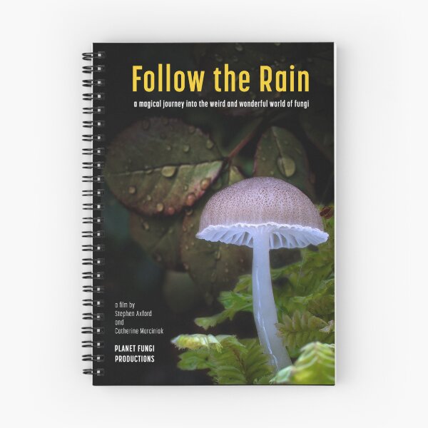 Item preview, Follow the Rain designed and sold by Stephen Axford and Catherine Marciniak, Planet Fungi.