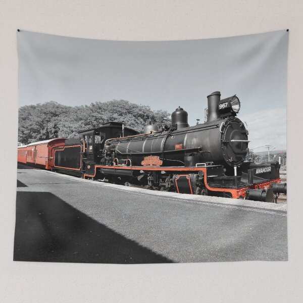 Item preview, Steam train day trip designed and sold by Mark Grimsley.
