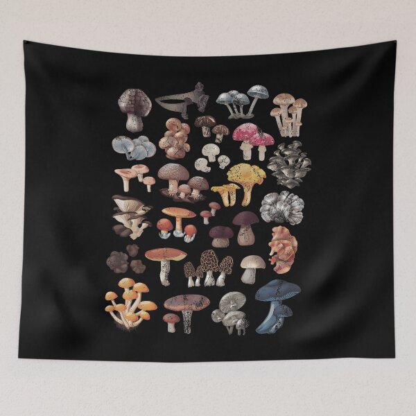 Item preview, Mushroom Season Mycology Fungi Foraging Mushroom Lover designed and sold by AlbertaDana.