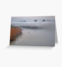 A cold morning..... Greeting Card