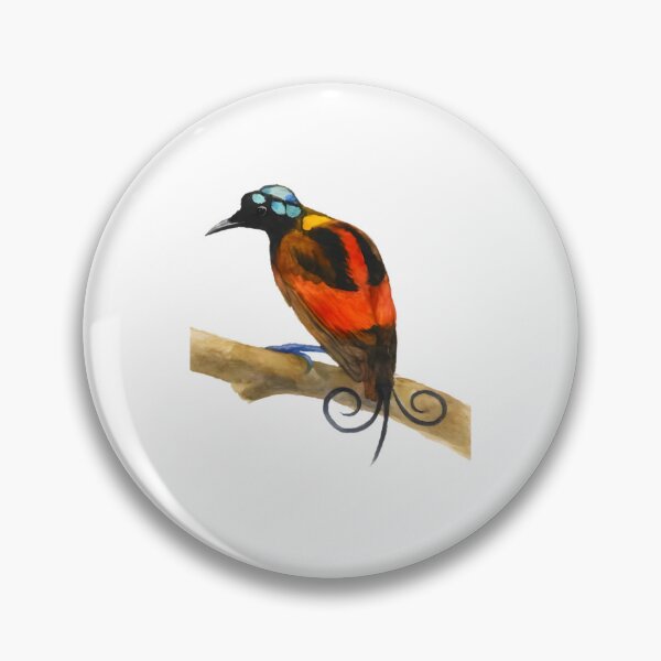 Item preview, Wilson’s Bird-of-paradise (Diphyllodes respublica) designed and sold by HOMETOWN86.
