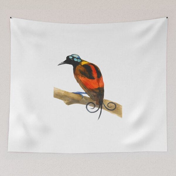 Item preview, Wilson’s Bird-of-paradise (Diphyllodes respublica) designed and sold by HOMETOWN86.