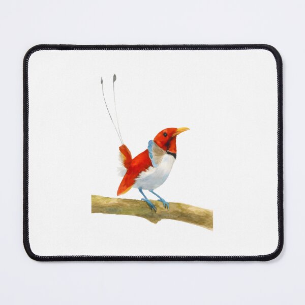 Item preview, King Bird-of-paradise (Cicinnurus regius) designed and sold by HOMETOWN86.