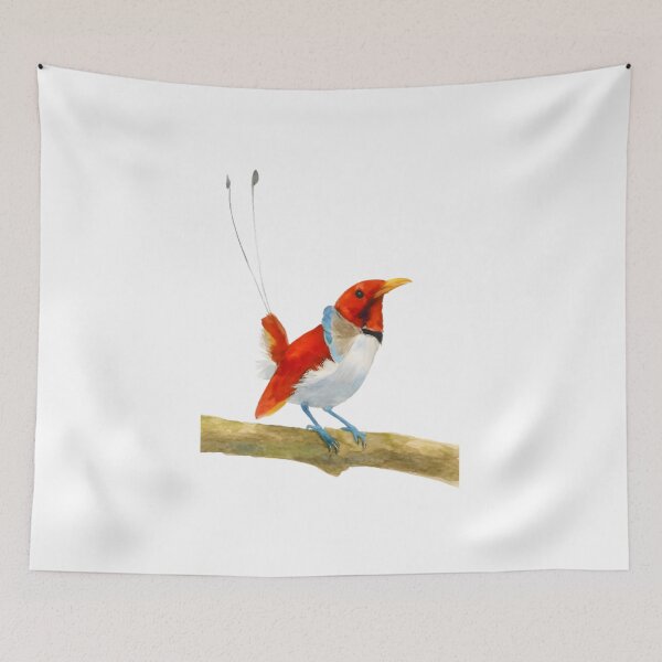 Item preview, King Bird-of-paradise (Cicinnurus regius) designed and sold by HOMETOWN86.