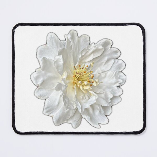 Item preview, white camilla designed and sold by meuliasshop.