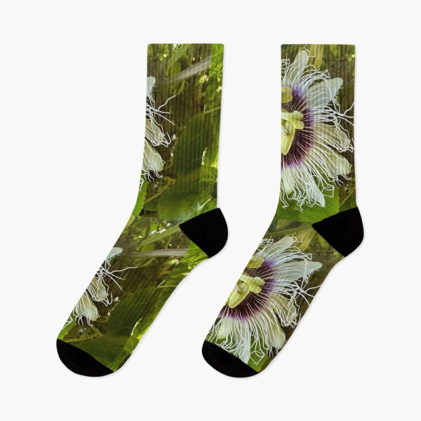 Item preview, Passion Flower in Sunlight designed and sold by TrisaThyme.