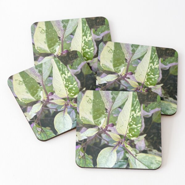 Item preview, Variegated Leaves — Nature Pattern designed and sold by TrisaThyme.