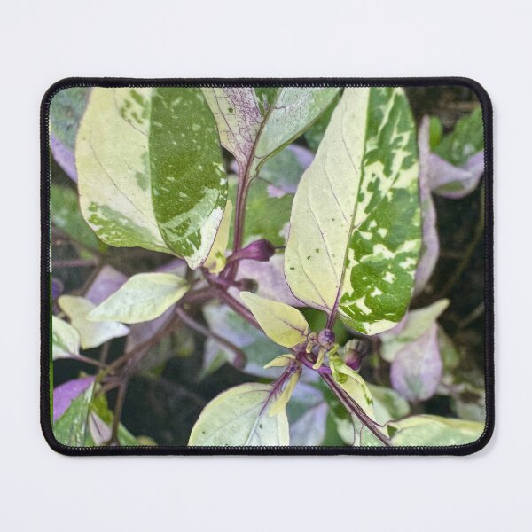 Item preview, Variegated Leaves — Nature Pattern designed and sold by TrisaThyme.