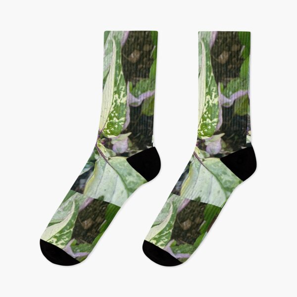Item preview, Variegated Leaves — Nature Pattern designed and sold by TrisaThyme.